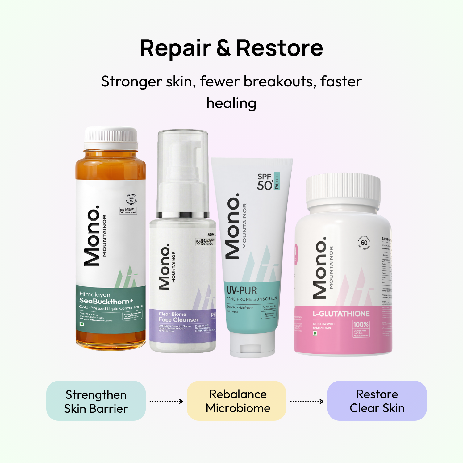 Stage 4: Month 2 – Repair & Restore