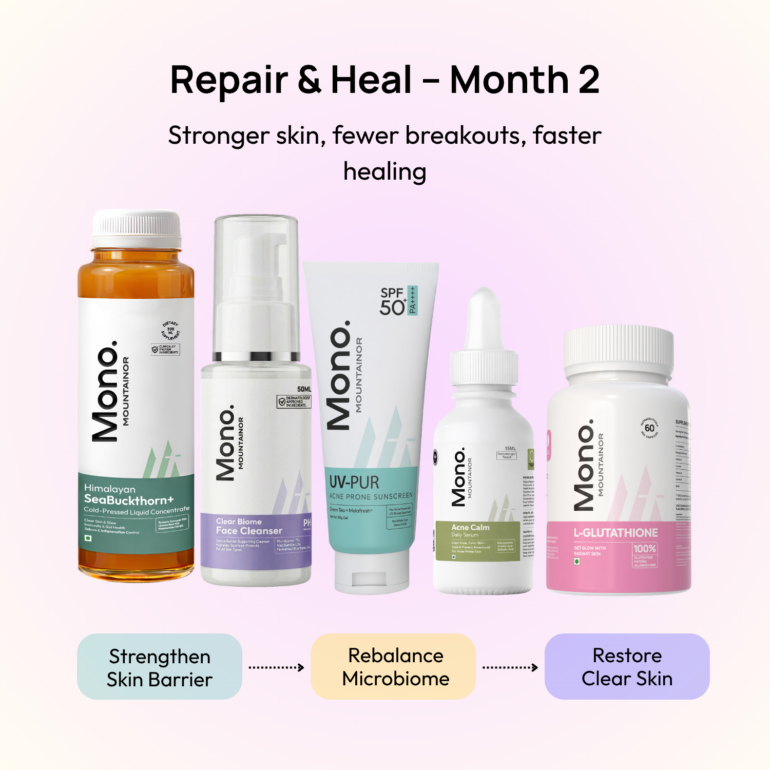 Stage 2: Month 2 – Repair & Heal