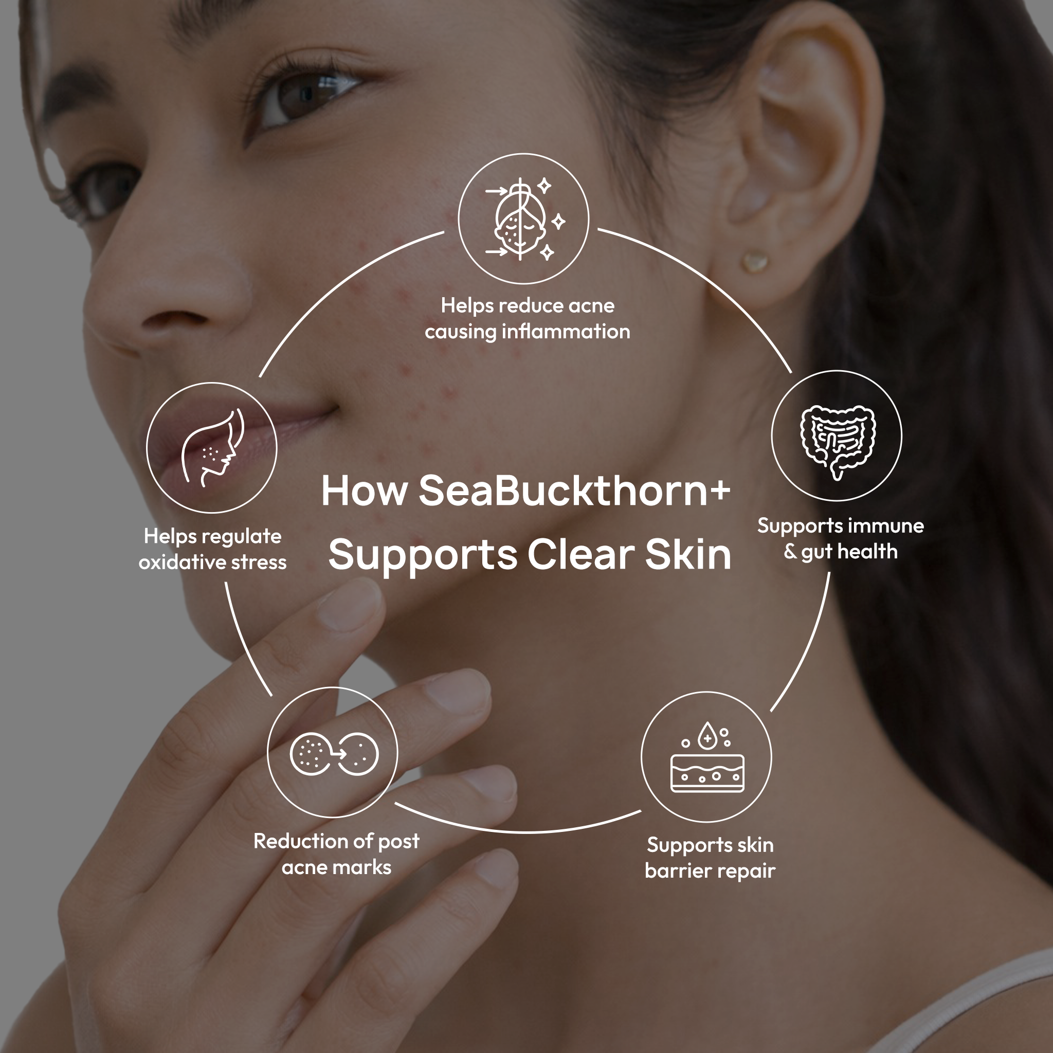 Himalayan SeaBuckthorn+