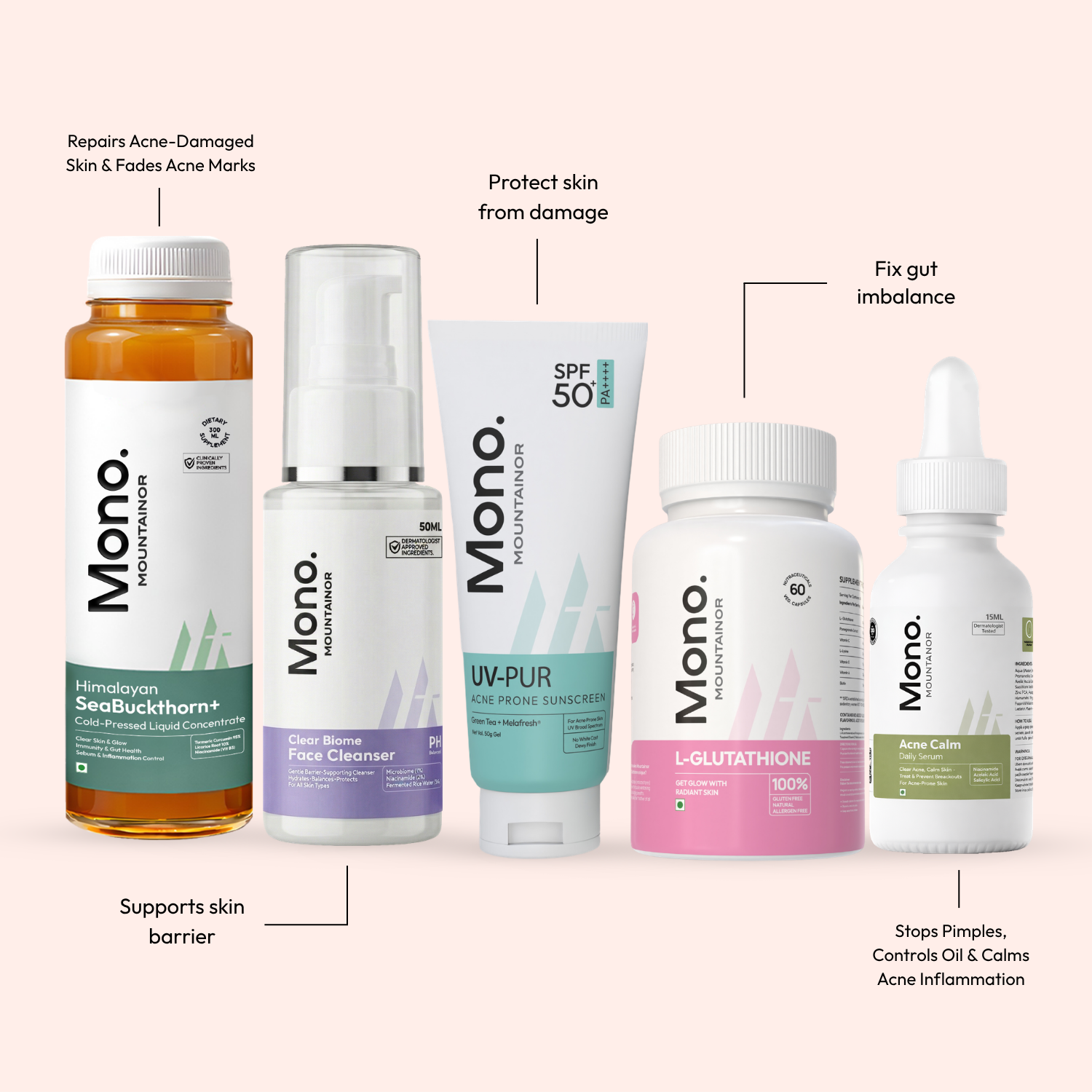 Stage 3: Month 2 – Repair &amp; Recover